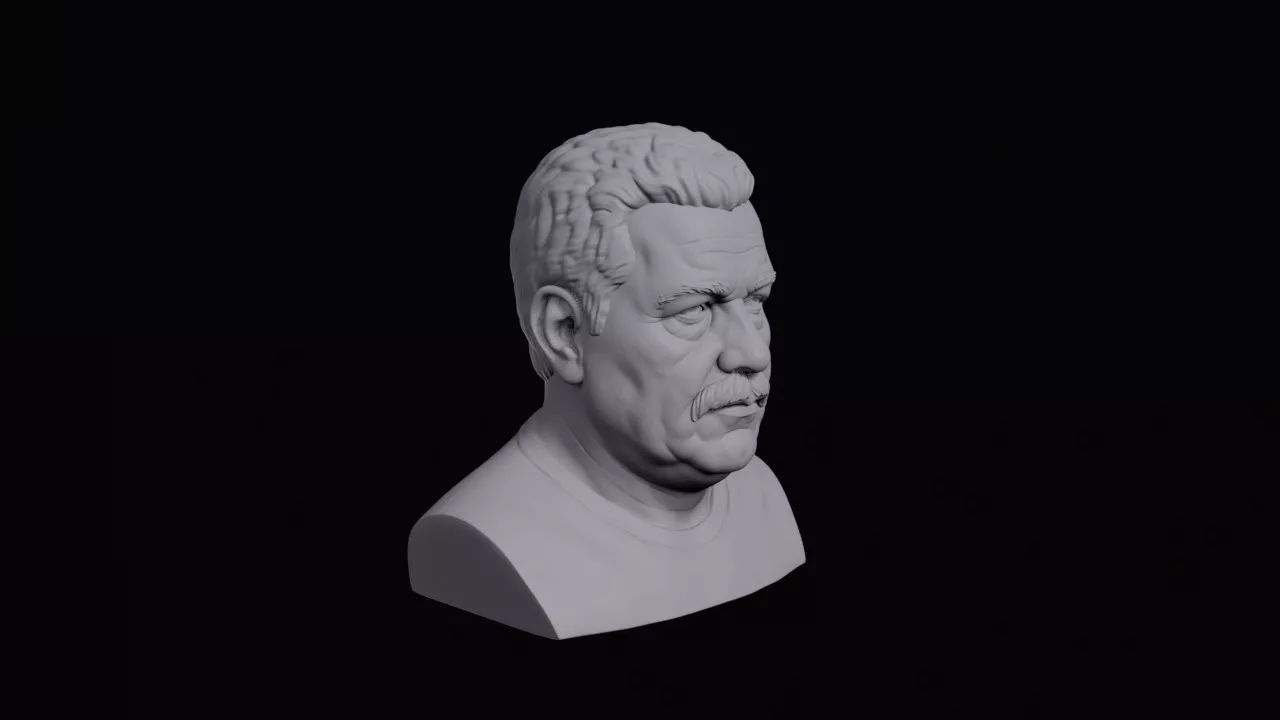 Venezuelan Man With Broad Face Bust 3D print model