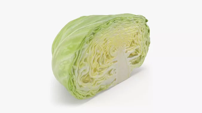 Flat Cabbage Half - 3D Scanned