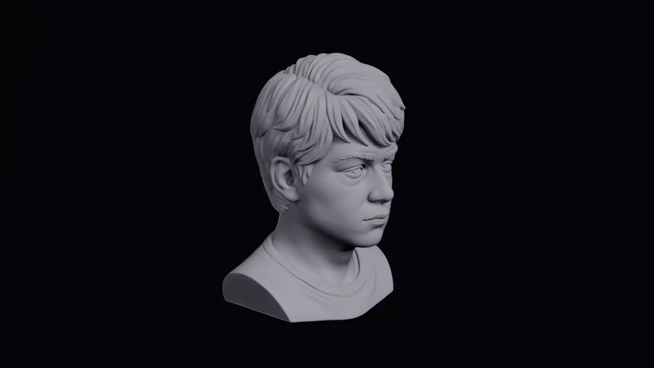 Teenage Boy Thick Mop Hair Bust 3D print model