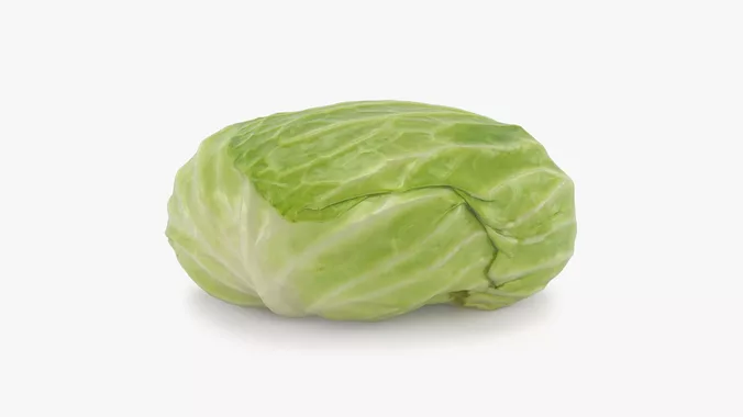 Flat Cabbage - 3D Scanned