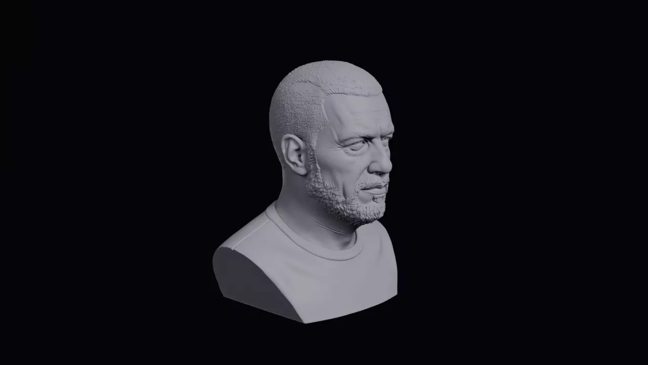 Serbian Man With Square Jaw Bust 3D print model