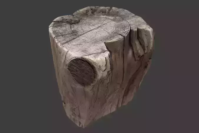 Stump tree Low-poly 3D model