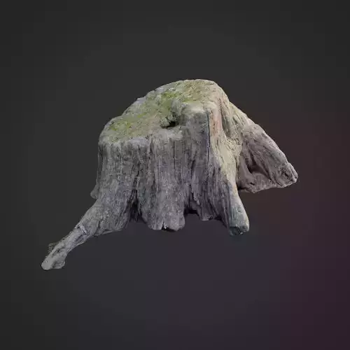 3d scanned nature tree stump 005