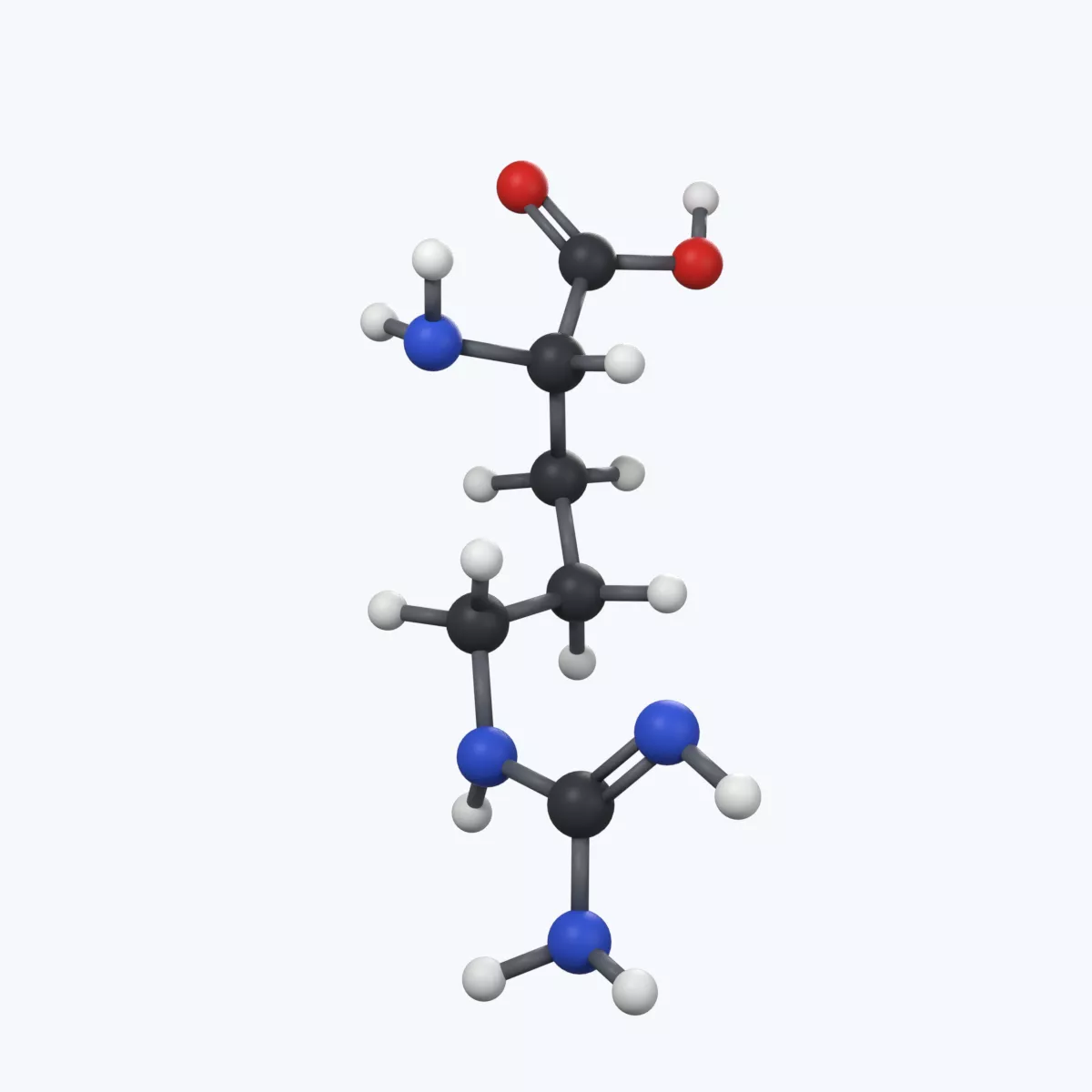 Arginine Ball-and-Stick Molecular Model 3D model
