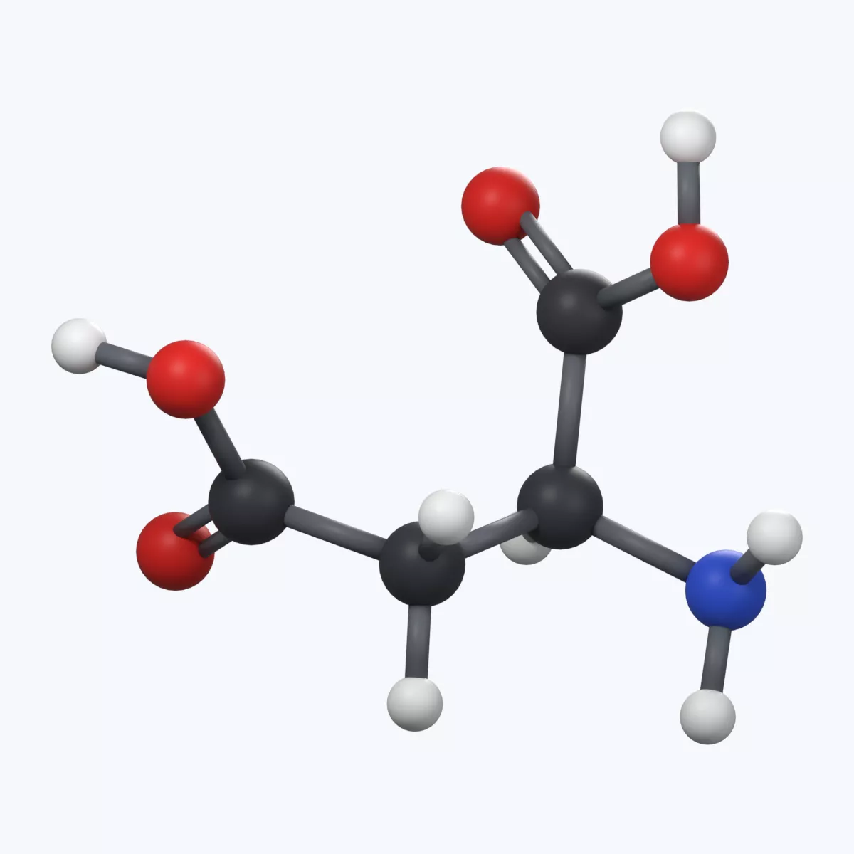 Aspartic acid Ball-and-Stick Molecular Model 3D model