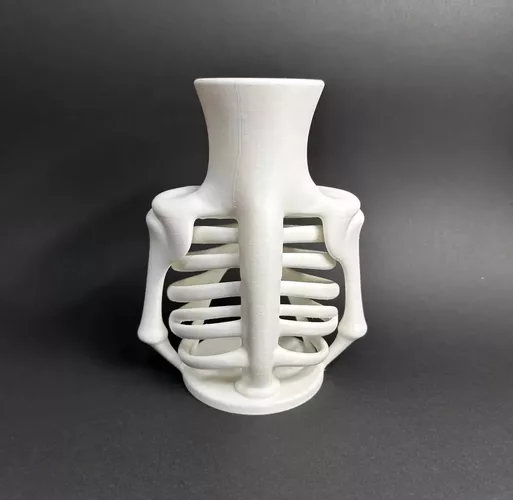 Rib Cage Vase Skeleton Style