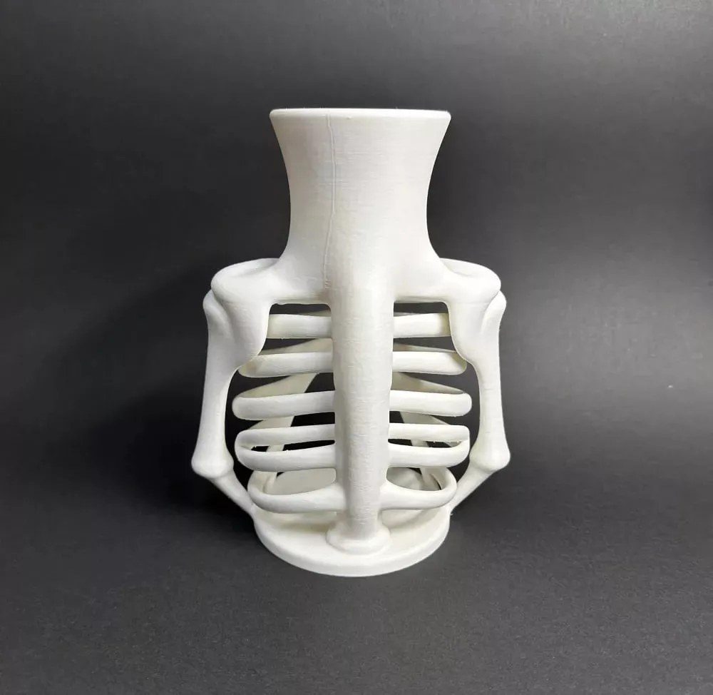 Rib Cage Vase Skeleton Style 3D print model