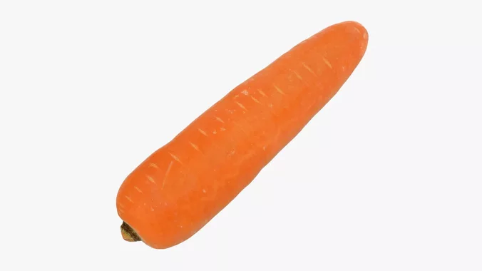 Carrot 02