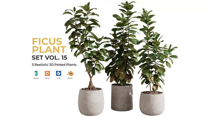 Ficus Plant Set Vol 15