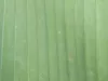 3D model Seamless Green Banana Leaf PBR Texture Pack VR / AR / low-poly ...