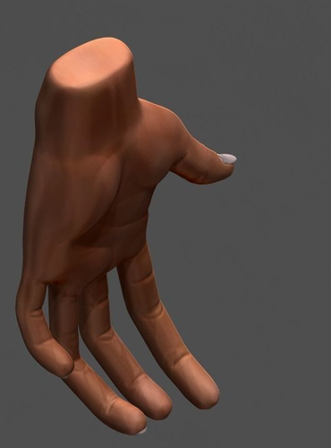 Simple hand Free 3D model