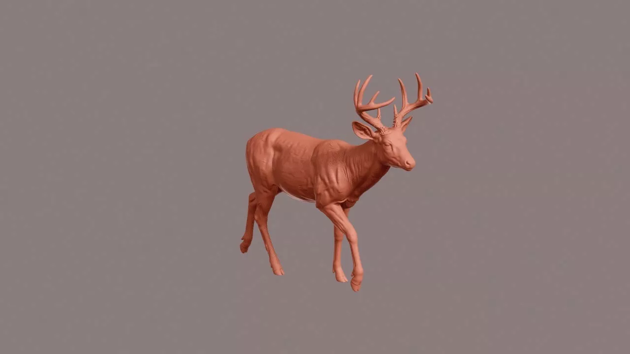 Walking White-tailed Deer 3D print model