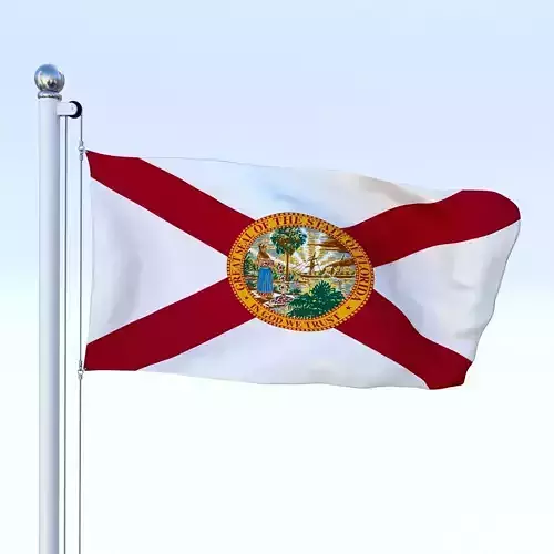 Animated Florida Flag