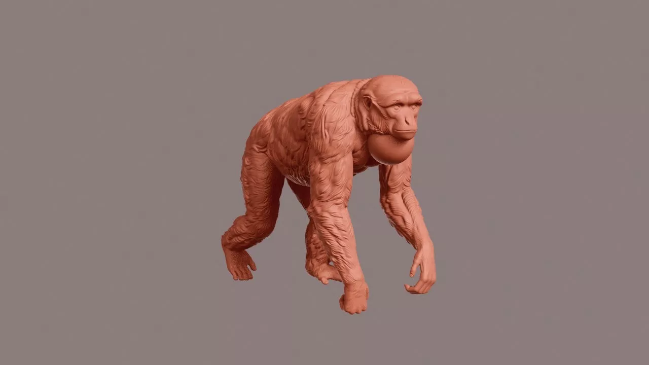 Walking Siamang 3D print model