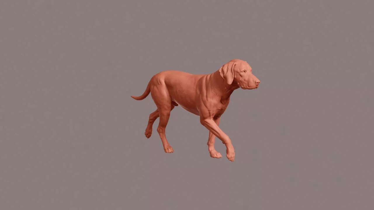Walking Plott Hound 3D print model