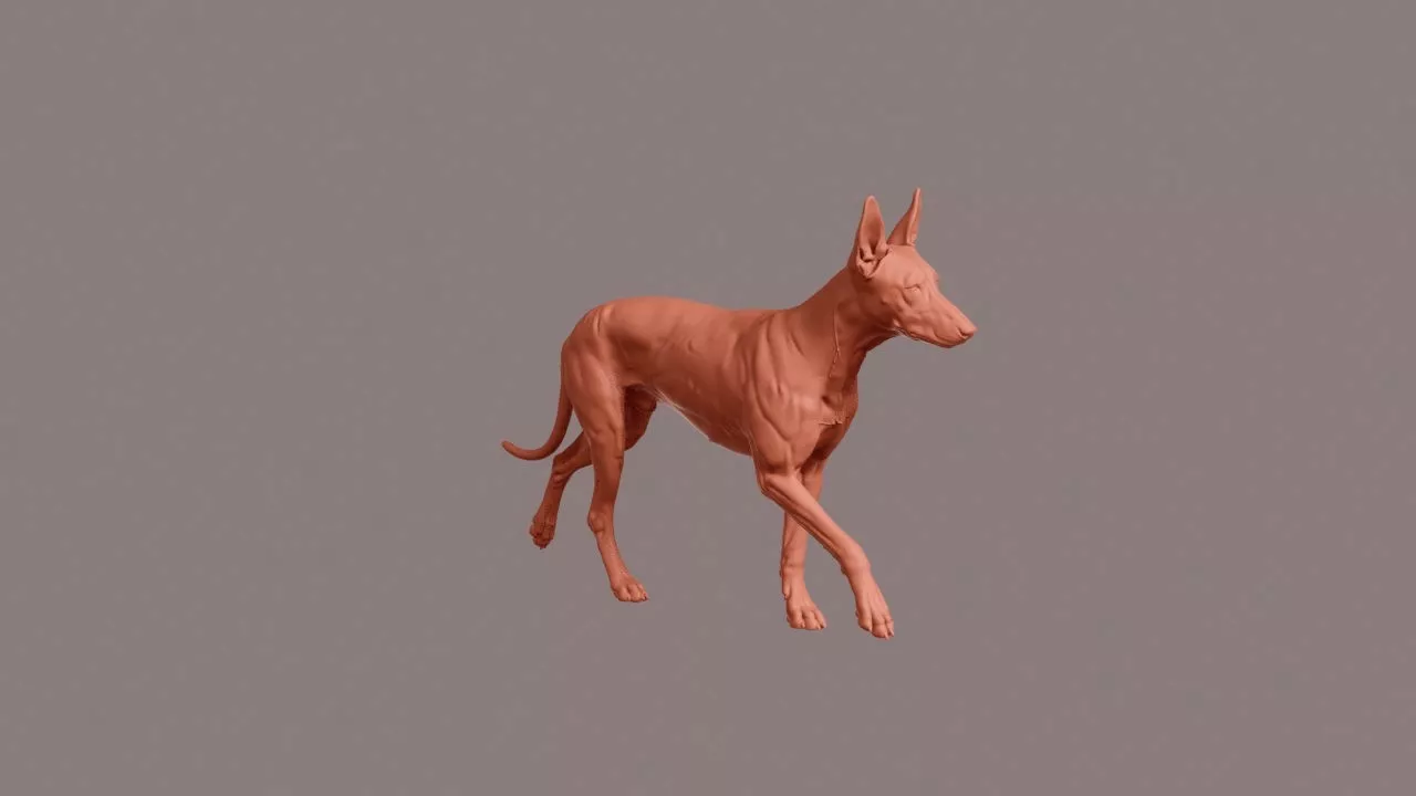 Walking Pharaoh Hound 3D print model