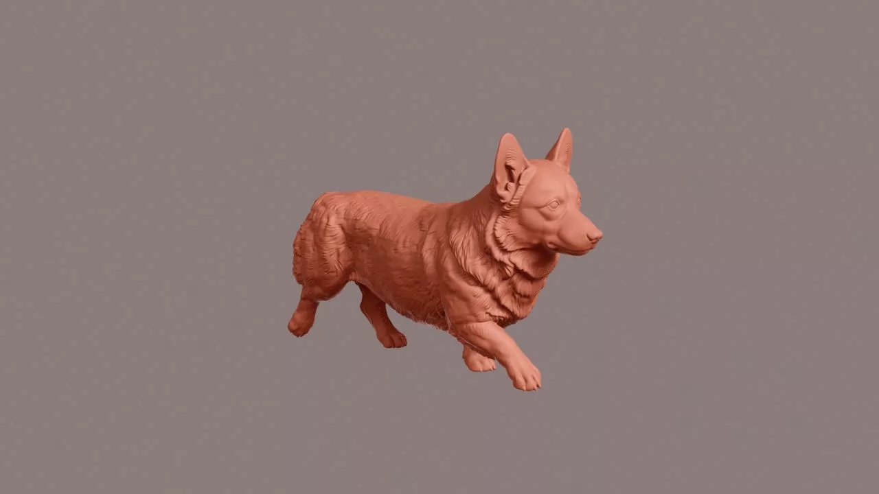 Walking Pembroke Welsh Corgi 3D print model