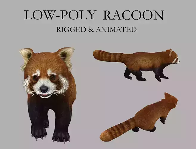 red panda racoon palm civet  Low-poly 3D model