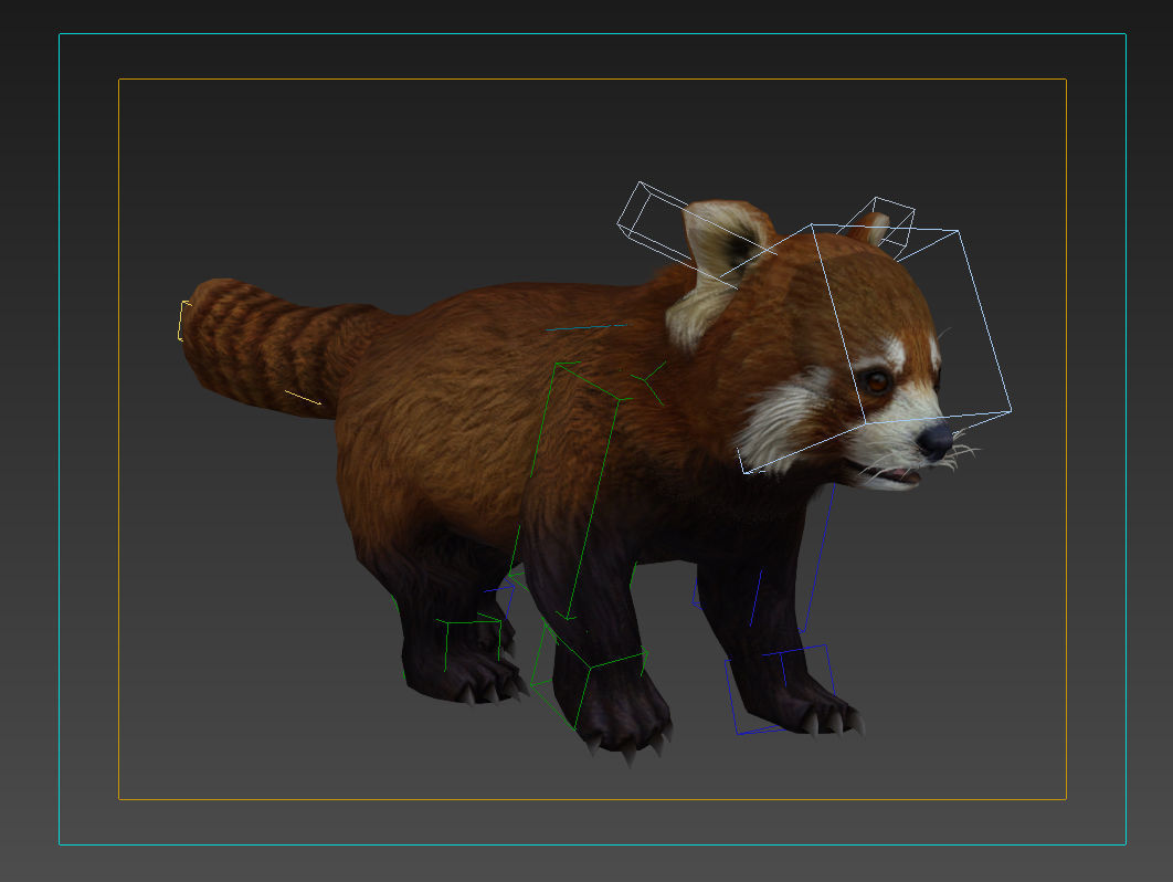 red panda racoon palm civet  Low-poly 3D model_6