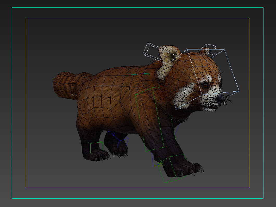 red panda racoon palm civet  Low-poly 3D model_8