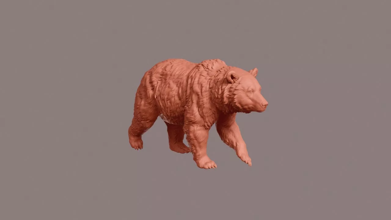 Walking Grizzly Bear 3D print model
