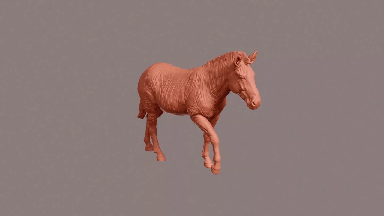 Walking Grevys Zebra 3D print model