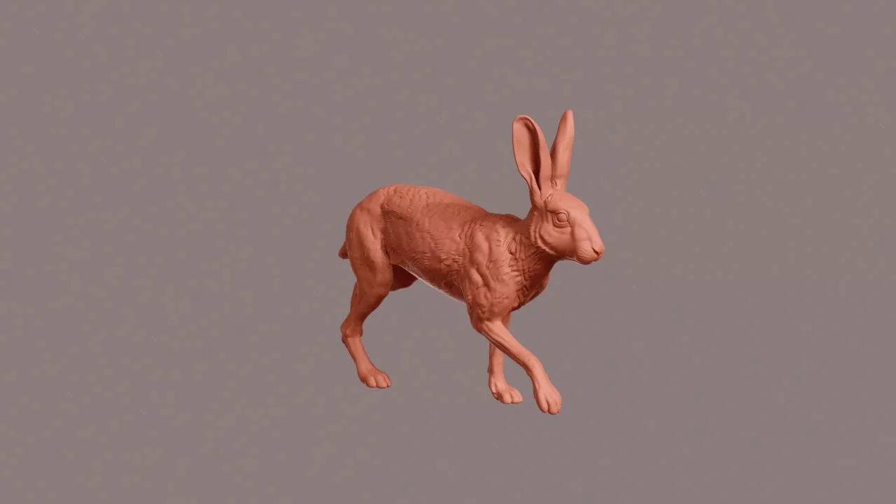 Walking European Hare 3D print model