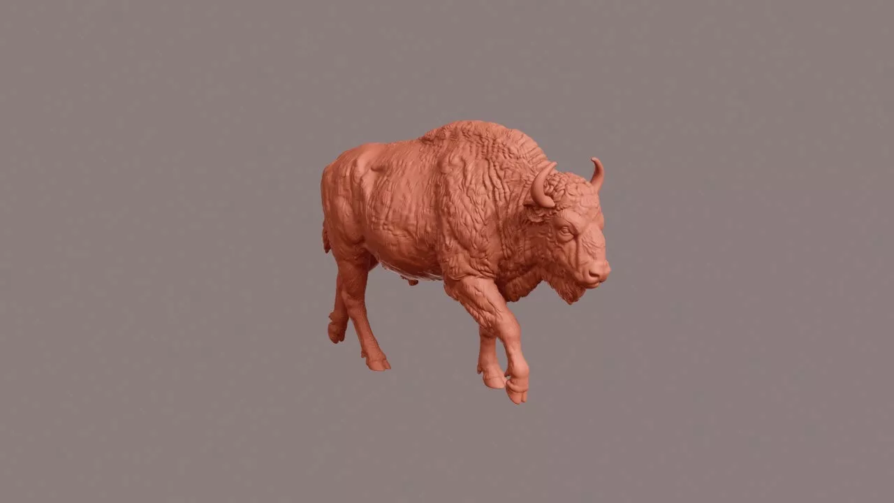 Walking European Bison 3D print model