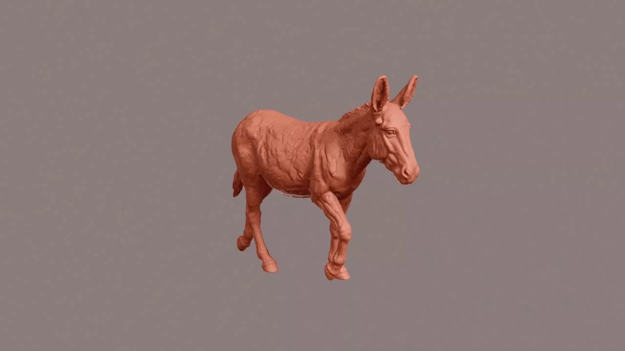 Walking Donkey 3D print model