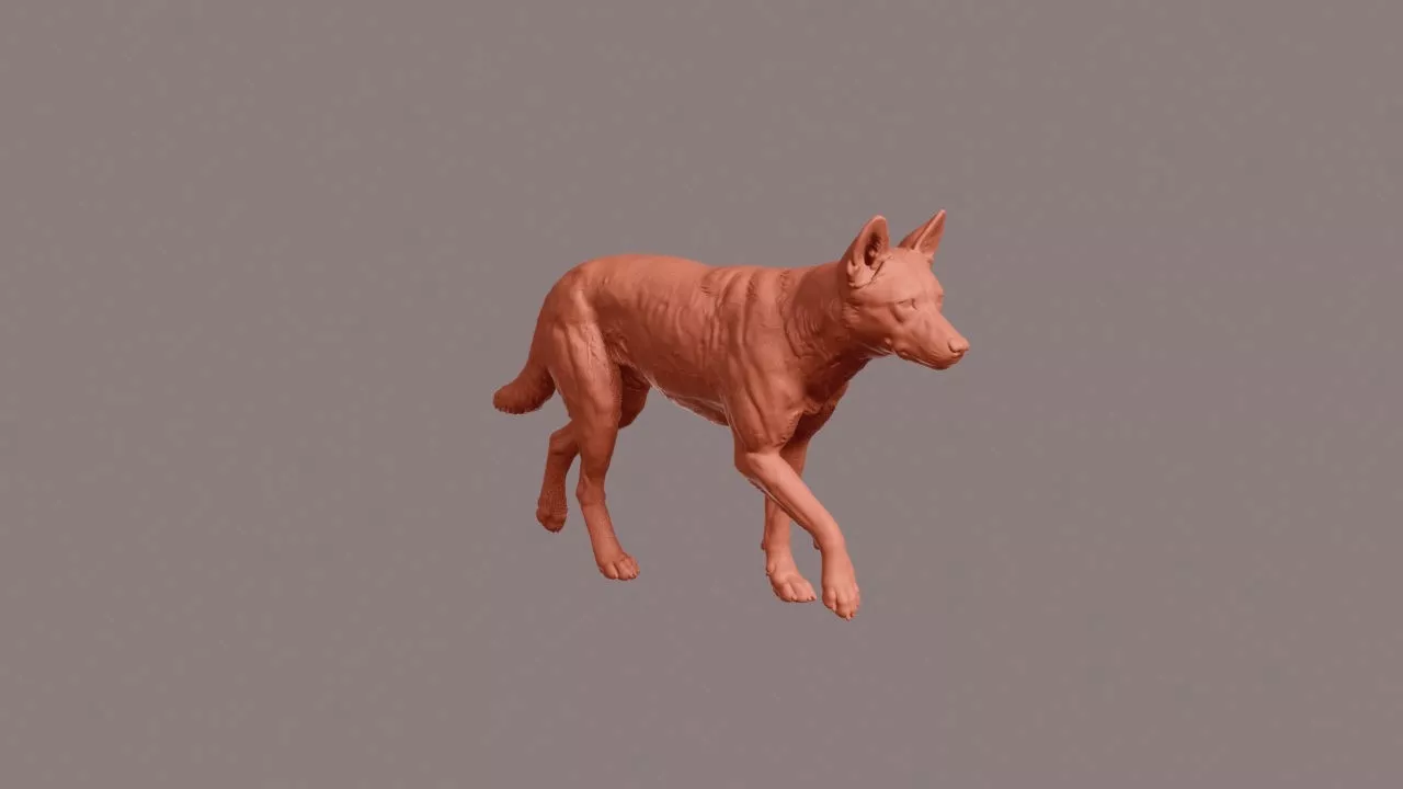Walking Dingo 3D print model