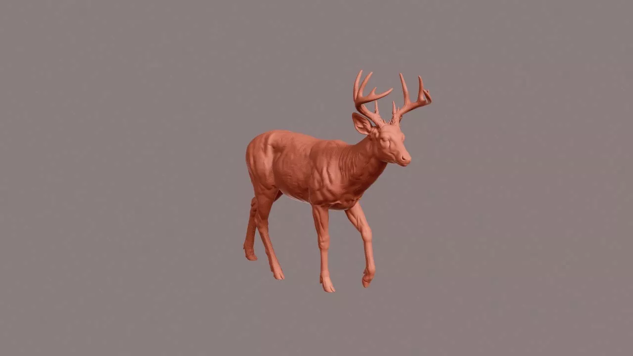 Walking Deer 3D print model