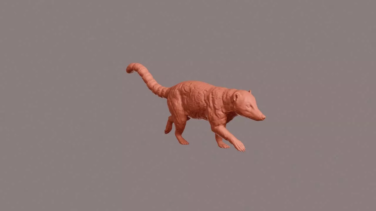 Walking Coati 3D print model