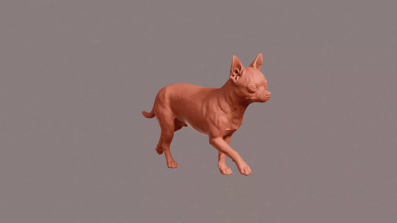 Walking Chihuahua 3D print model
