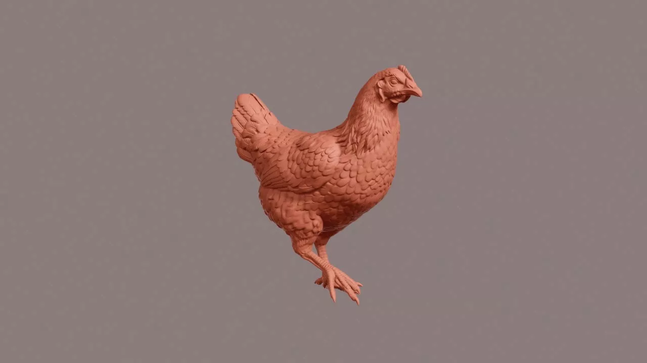 Walking Chicken 3D print model