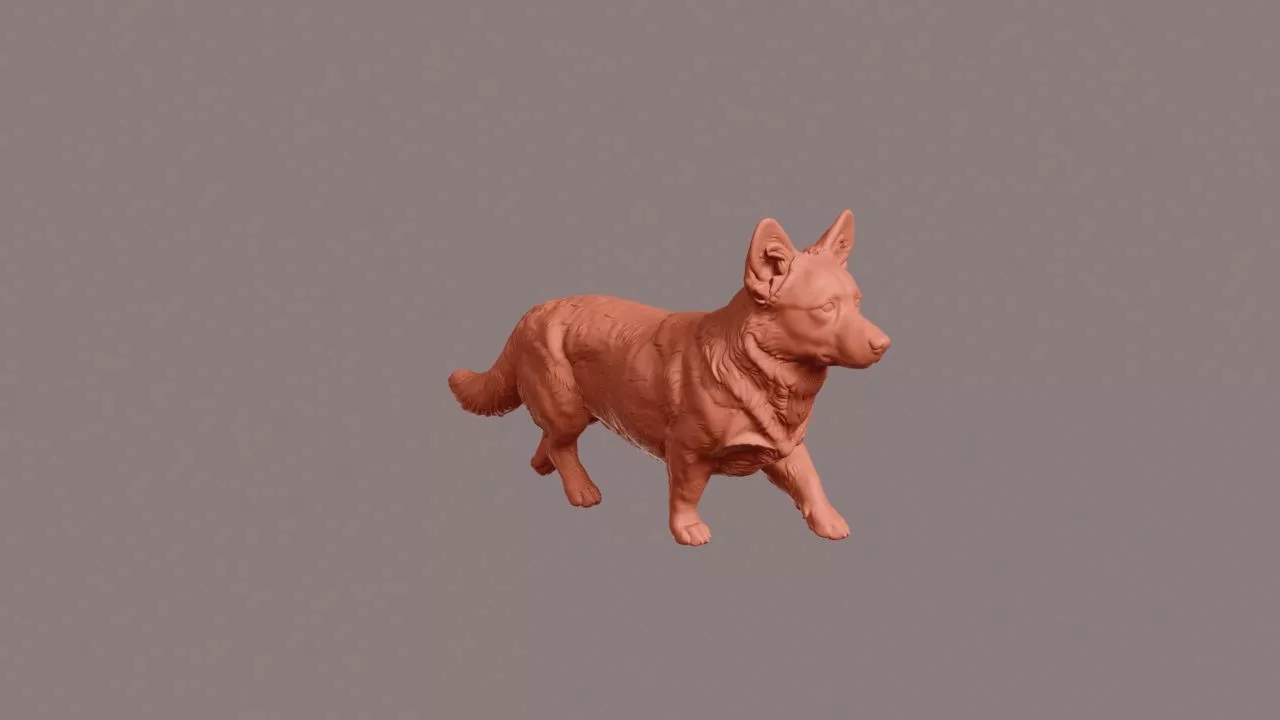 Walking Cardigan Welsh Corgi 3D print model