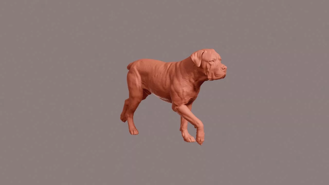 Walking Cane Corso 3D print model