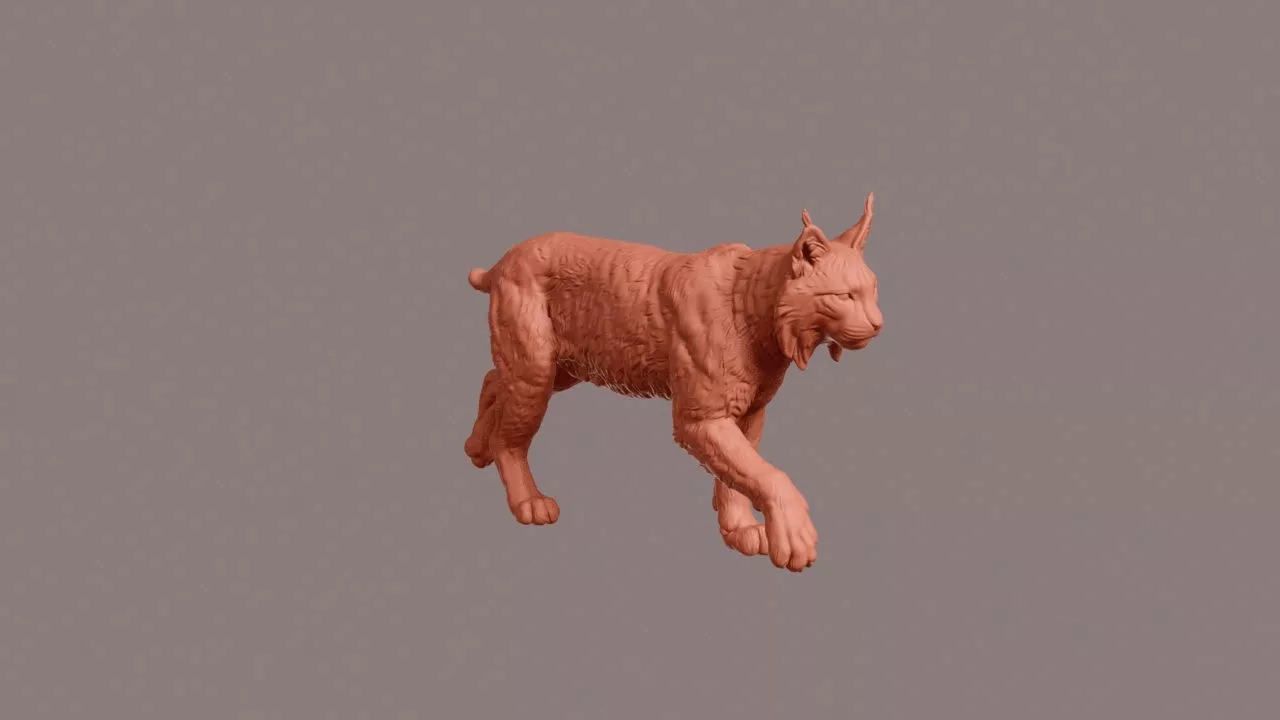 Walking Canada Lynx 3D print model