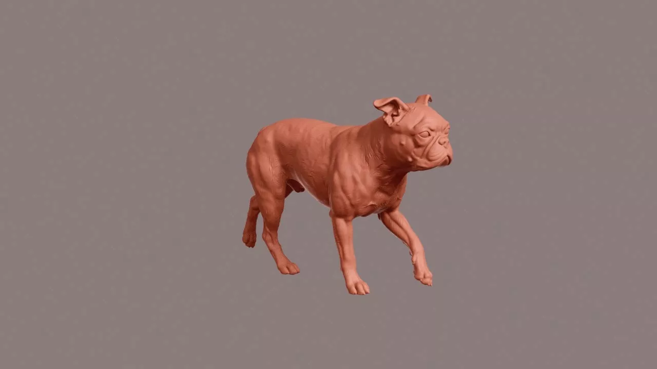Walking Boston Terrier 3D print model