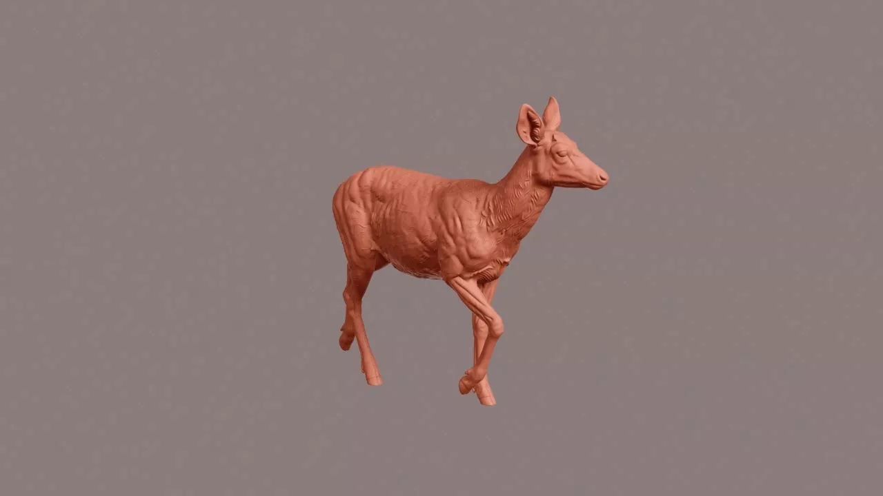 Walking Black-tailed Deer 3D print model
