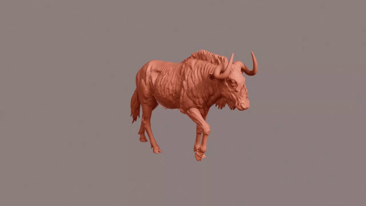 Walking Black Wildebeest 3D print model