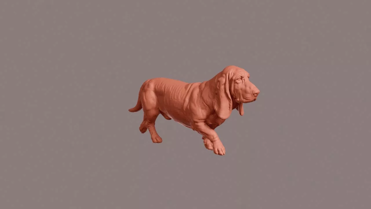 Walking Basset Hound 3D print model