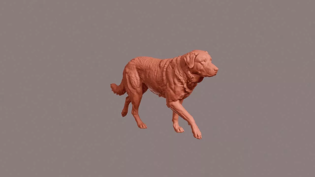Walking Anatolian Shepherd 3D print model