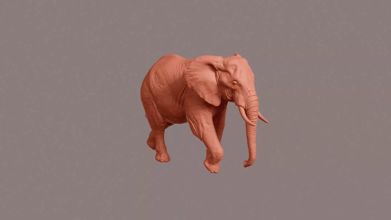 Walking African Elephant 3D print model