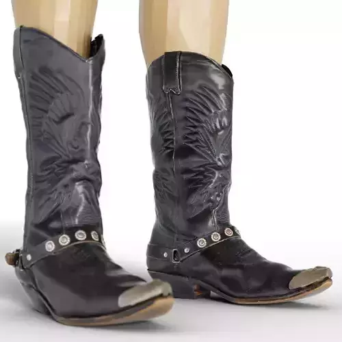 Boot Cowgirl Cowboy Footwear  Men Women