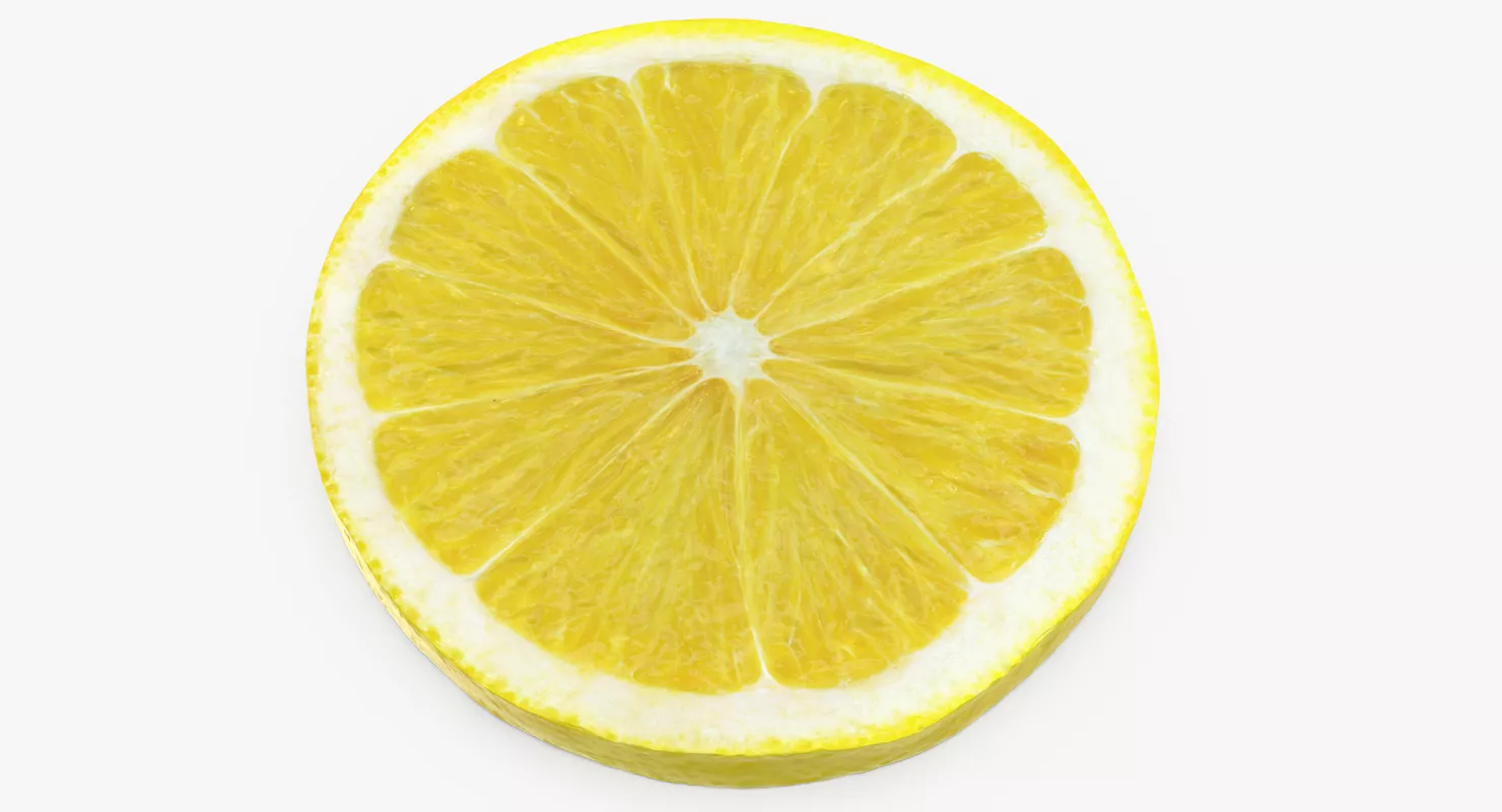 Lemon Round Slice 3D model