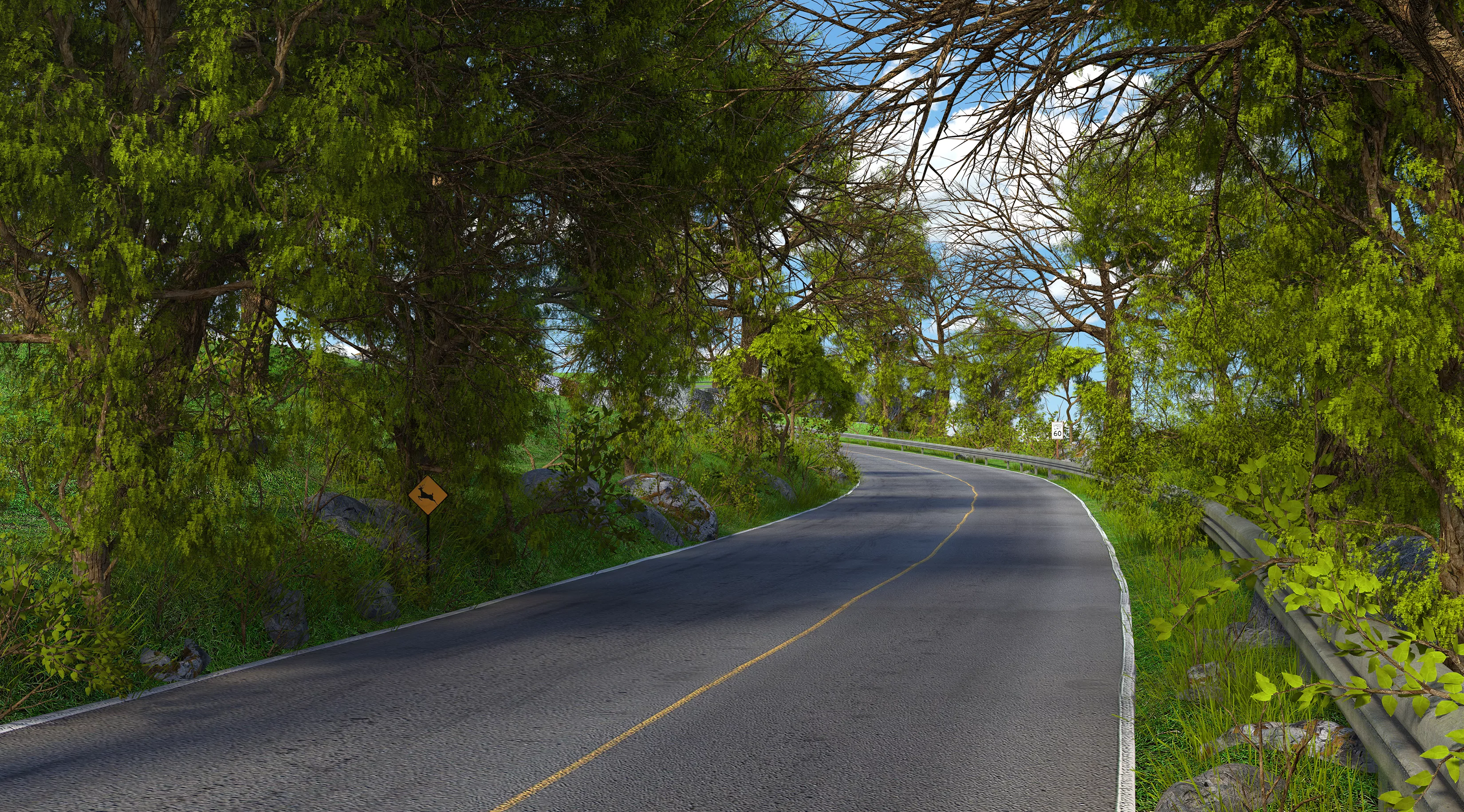 Forest Mountain Road 3D model