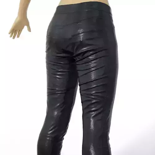 Trousers Shiny Leather Black women Men Clothing