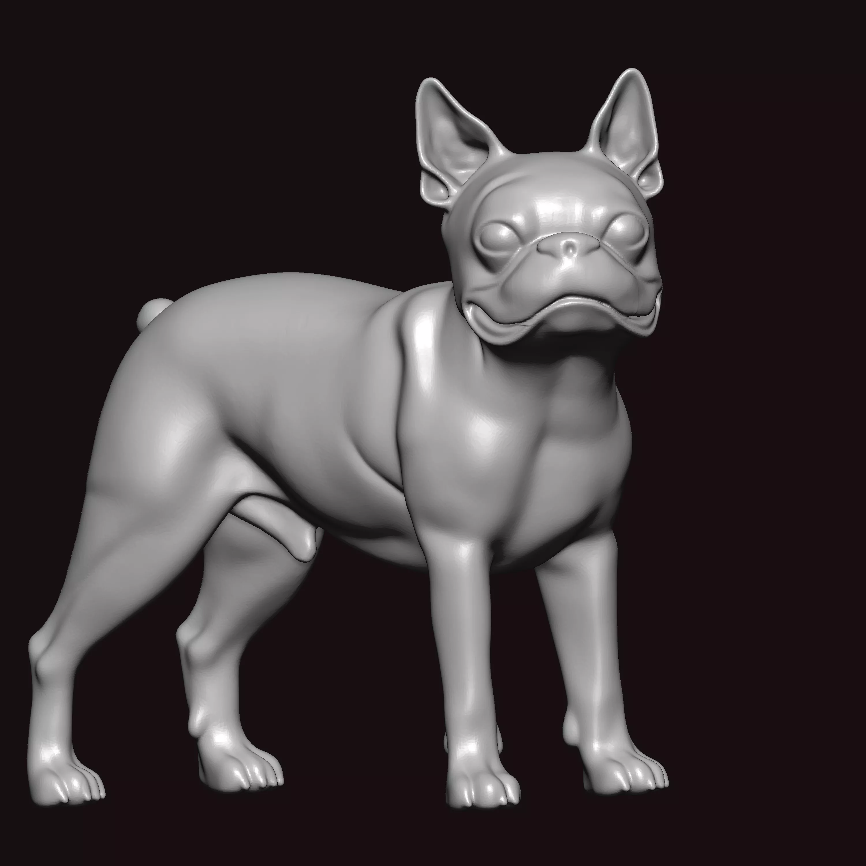 Boston Terrier Standing Pose 3D print model