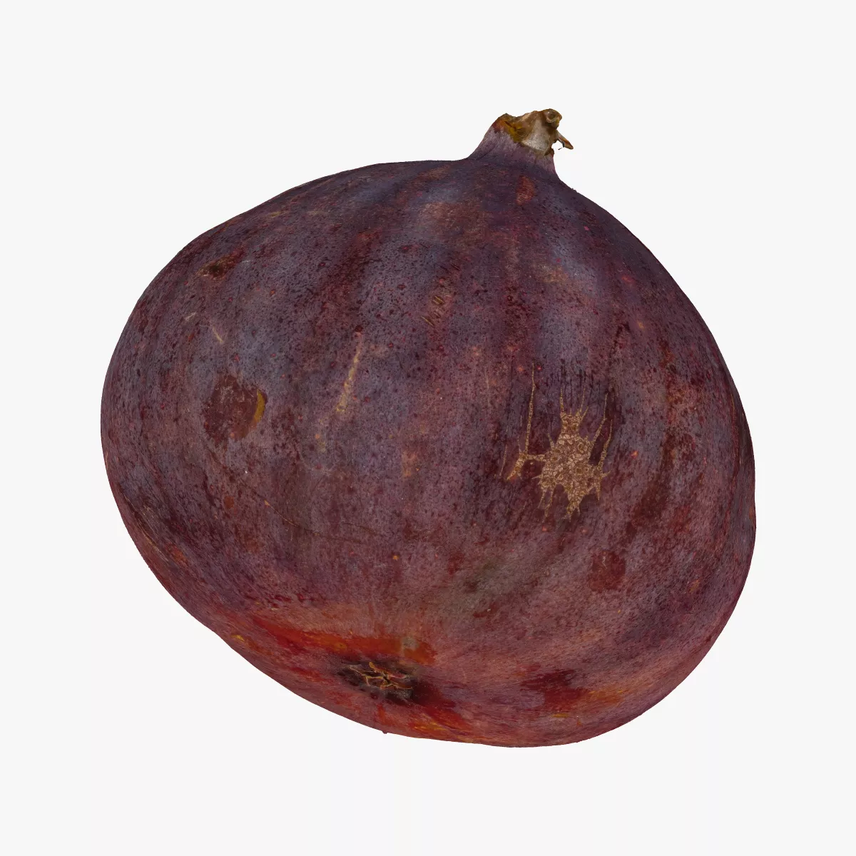 Black Mission Fig 03 RAW SCAN 3D model