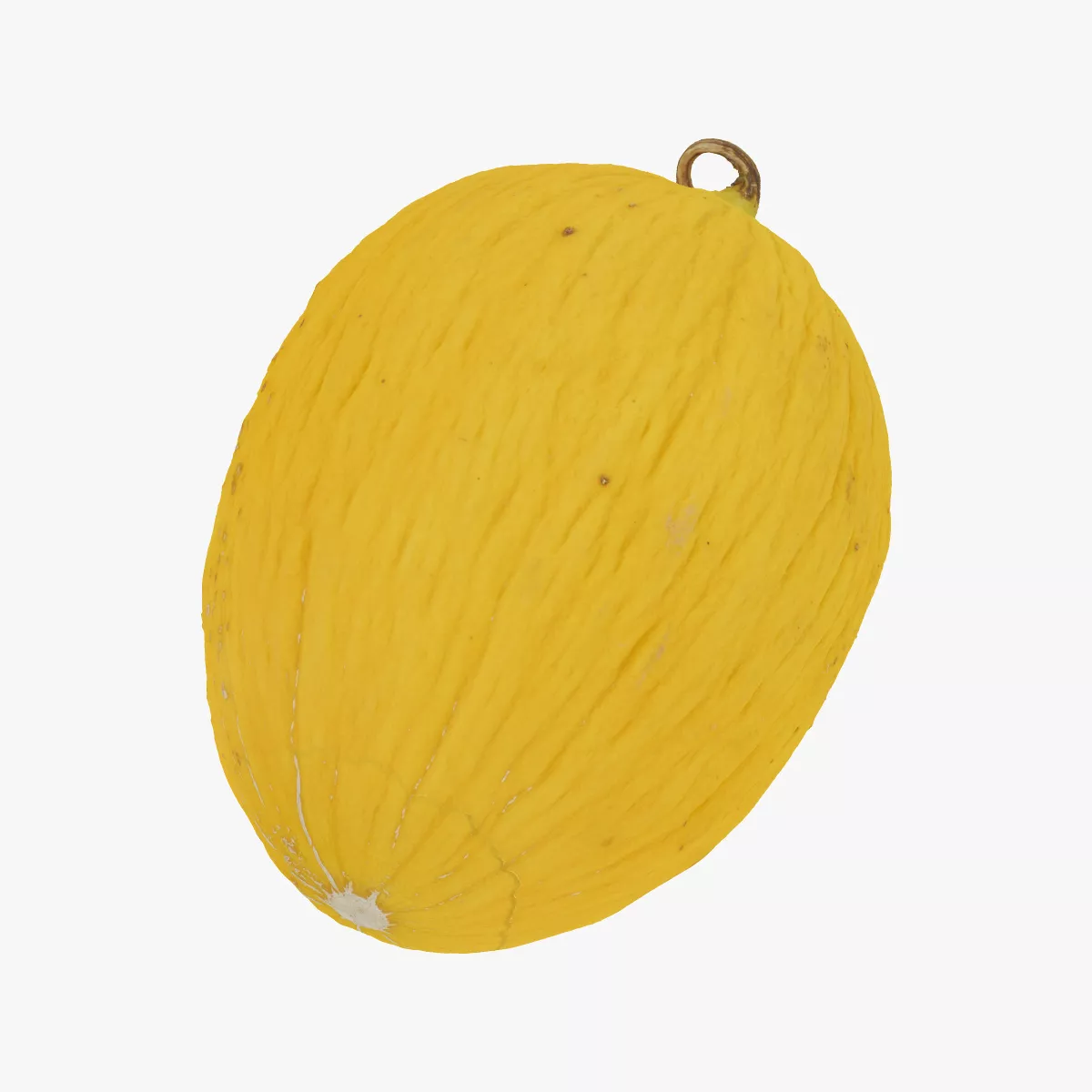 Brazilian Melon 01 RAW SCAN 3D model